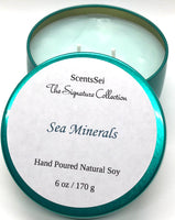 Top: Ozone, Linen Middle: Eucalyptus, Sea Salt, Freesia Base: Moss, Powder