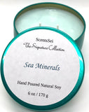 Top: Ozone, Linen Middle: Eucalyptus, Sea Salt, Freesia Base: Moss, Powder