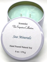 Top: Ozone, Linen Middle: Eucalyptus, Sea Salt, Freesia Base: Moss, Powder