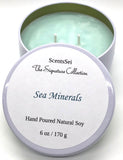 Top: Ozone, Linen Middle: Eucalyptus, Sea Salt, Freesia Base: Moss, Powder